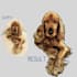 draw your amazing pet in a realistic style