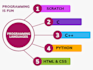 teach programming languages like scratch c python HTML css sql etc
