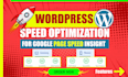 optimize your website speed for google page speed insight