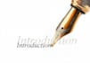 write a wonderful introduction to your book