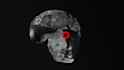 do 3d modelling in maya,blender,3ds max