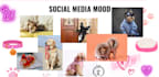 manage instagram and tiktok pages