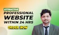 create a professional website within 24 hours