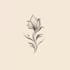 draw a botanical floral logo design