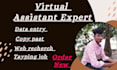 do competently perform proper data entry, copy past, typing job,