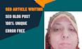 write SEO friendly articles and blogs for your website