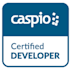 develop a customized caspio web application database
