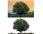 do expert image editing in photoshop