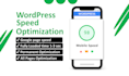 website speed and do wordpress optimization for pagespeed