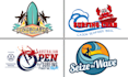 provide professional surfing logo design