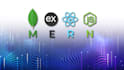 develop dynamic web apps with mern stack