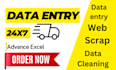 do excel data entry, data entry, PDF to excel data entry