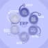 help you integrate your erp with third party applications