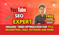 do youtube SEO, video ranking, channel setup and promotion