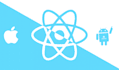 find and fix bugs  in your react native mobile app