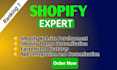 create shopify dropshipping store and set up shopify website
