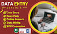 do efficient and accurate copy paste data entry work