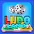 develop ludo game multiplayer game, game development