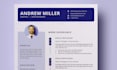 expert professional resume, CV, and cover letter writing