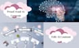 edit and fact check your ai content