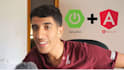 develop a custom web app in java, spring boot, angular, microservices , AWS