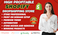 set up shopify website or dropshipping store
