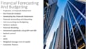 do financial forecasting and business modeling