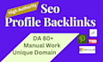 build 250 high authority seo profile backlinks link building