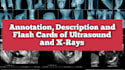 make flash cards, annotate and describe medical images