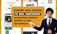 support help updates, fix bugs, maintenance your wordpress, shopify, wix website