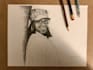 draw or paint a portrait of you or a family member or friend