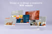 design and develop wix websites