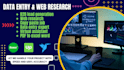 do  data entry lead generation web research copy paste