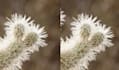 denoise, sharpen, enhance your photos with ai tools