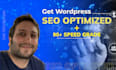 do wordpress SEO audit and speed optimization 90 plus in google test