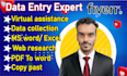 data entry, data processing, web research
