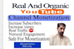 do organic youtube channel promotion and monetization