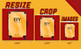 do bulk background removal, resize, crop, enhance color change in photoshop