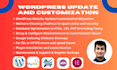 php version and wordpress update and customization of your website