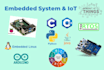 do embedded system projects