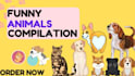 create funny and cute animal pets compilation videos