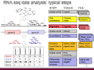 do ngs rna seq and transcriptomics analysis with r linux and galaxy pipelines