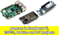program in raspberry pi, esp32, arduino and iot projects