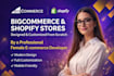 design  customize or fix bugs from bigcommerce and shopify