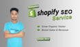 do complete shopify  SEO service for fast google ranking