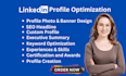 fully optimize your linkedin profile in 24 hours