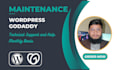 wordpress and godaddy website maintenance as a website manager