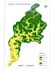 do advance gis analysis, mapping, everything in arcgis, qgis