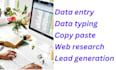 fastest data entry, excel data entry and data cleansing