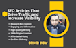 write SEO blog and ranked articles for your blog professionally